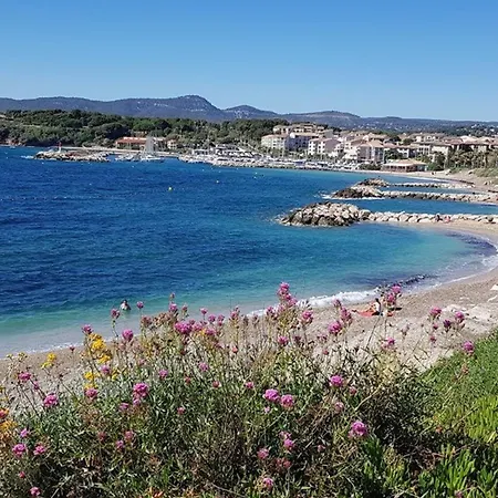 Six-fours-les-plages, 2 Pièces, 4 Personnes - Fr-1-316-174 Appartamento